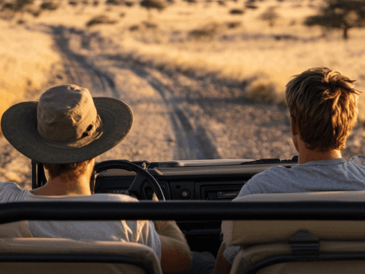 safari