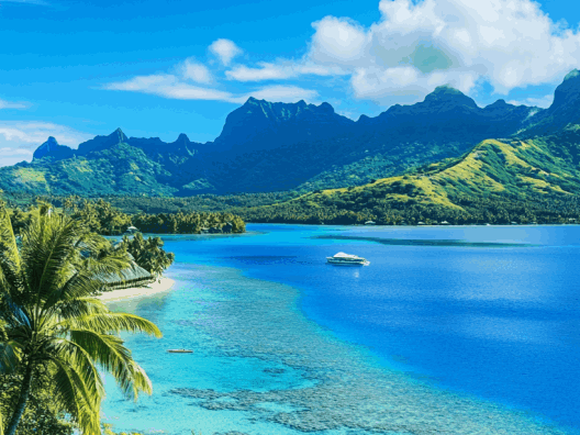 polynesian